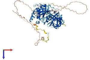 AlphaFold protein structure predicition of Human Recombinant GSPT2 Protein, UniprotID Q8IYD1