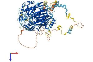 AlphaFold protein structure predicition of Human Recombinant FIG4 Protein, UniprotID Q92562