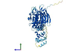 AlphaFold protein structure predicition of Human Recombinant KLHL23 Protein, UniprotID Q8NBE8