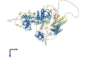 AlphaFold protein structure predicition of Human Recombinant DGKH Protein, UniprotID Q86XP1