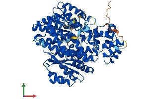 AlphaFold protein structure predicition of Human Recombinant GCKR Protein, UniprotID Q14397