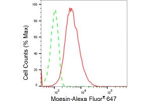 Flow cytometric analysis of Moesin expression in HepG2 cells using Moesin antibody (ABIN7799482), 1:2,000). (Recombinant Moesin anticorps)