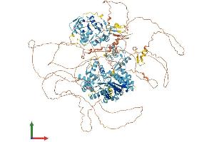 AlphaFold protein structure predicition of Human Recombinant POGZ Protein, UniprotID Q7Z3K3