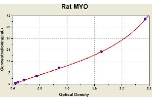 Diagramm of the ELISA kit to detect Rat MYOwith the optical density on the x-axis and the concentration on the y-axis. (Myoglobin Kit ELISA)