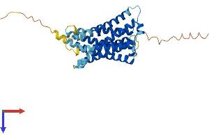 AlphaFold protein structure predicition of Human Recombinant MRGPRX1 Protein, UniprotID Q96LB2