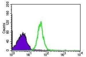 Flow cytometric analysis of Hela cells using CDK4 mouse mAb (green) and negative control (purple).