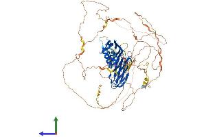 AlphaFold protein structure predicition of Human Recombinant SGIP1 Protein, UniprotID Q9BQI5