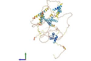 AlphaFold protein structure predicition of Human Recombinant LCORL Protein, UniprotID Q8N3X6