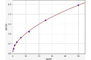 Typical standard curve (LAMA3 Kit ELISA)