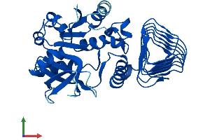 AlphaFold protein structure predicition of Human Recombinant GMPPB Protein, UniprotID Q9Y5P6