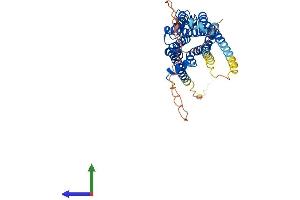 AlphaFold protein structure predicition of Human Recombinant ADRB2 Protein, UniprotID P07550