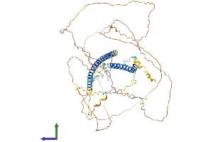 AlphaFold protein structure predicition of Mouse Recombinant Msl1 Protein, UniprotID Q6PDM1