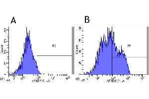 Flow-cytometry using anti-CD22 antibody Epratuzumab   Rhesus monkey lymphocytes were stained with an isotype control (panel A) or the rabbit-chimeric version of Epratuzumab ( panel B) at a concentration of 1 µg/ml for 30 mins at RT.