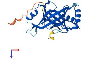 AlphaFold protein structure predicition of Mouse Recombinant Med18 Protein, UniprotID Q9CZ82