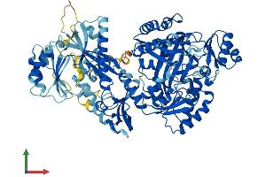 AlphaFold protein structure predicition of Mouse Recombinant Carns1 Protein, UniprotID Q6ZPS2