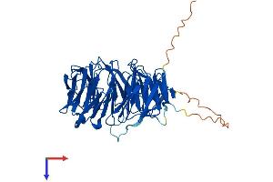 AlphaFold protein structure predicition of Human Recombinant WRAP73 Protein, UniprotID Q9P2S5