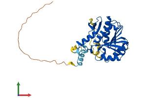 AlphaFold protein structure predicition of Human Recombinant CAMKMT Protein, UniprotID Q7Z624