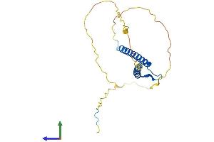 AlphaFold protein structure predicition of Human Recombinant NEUROG3 Protein, UniprotID Q9Y4Z2