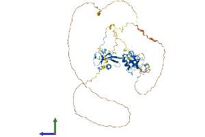AlphaFold protein structure predicition of Mouse Recombinant Dcdc2 Protein, UniprotID Q5DU00