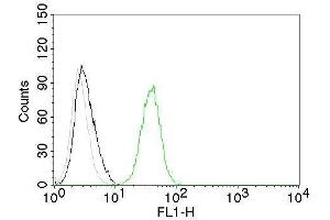 Flow Cytometry of human CD31 on Jurkat cells. (CD31 anticorps)
