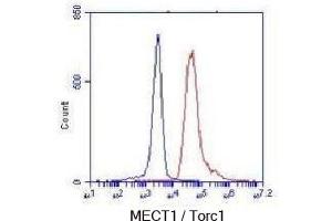 Flow Cytometry analysis of K562 cells stained with TORC1(N-terminus) (red, 1/100 dilution), followed by FITC-conjugated goat anti-mouse IgG.