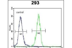 p21 (CDKN1A) Antibody (C-term) (ABIN391763 and ABIN2841628) flow cytometric analysis of 293 cells (right histogram) compared to a negative control cell (left histogram).