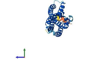 AlphaFold protein structure predicition of Human Recombinant TSN Protein, UniprotID Q15631