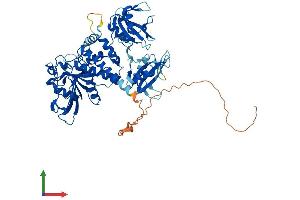 AlphaFold protein structure predicition of Mouse Recombinant Ptpn6 Protein, UniprotID P29351