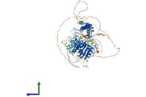 AlphaFold protein structure predicition of Human Recombinant PML Protein, UniprotID P29590