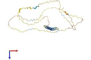 AlphaFold protein structure predicition of Human Recombinant LAT Protein, UniprotID O43561
