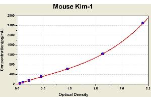 Diagramm of the ELISA kit to detect Mouse K1 m-1with the optical density on the x-axis and the concentration on the y-axis. (HAVCR1 Kit ELISA)