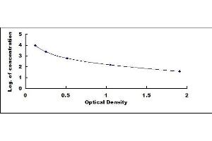 Typical standard curve (Keratan Sulfate Kit ELISA)