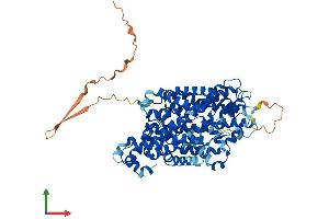 AlphaFold protein structure predicition of Mouse Recombinant Slc6a3 Protein, UniprotID Q61327