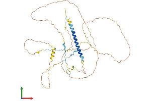 AlphaFold protein structure predicition of Human Recombinant AKAP5 Protein, UniprotID P24588