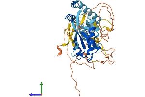 AlphaFold protein structure predicition of Human Recombinant ASCC1 Protein, UniprotID Q8N9N2
