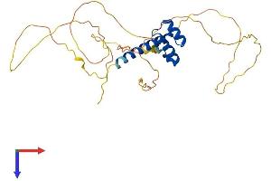 AlphaFold protein structure predicition of Human Recombinant CRX Protein, UniprotID O43186