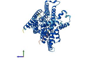 AlphaFold protein structure predicition of Mouse Recombinant Alg6 Protein, UniprotID Q3TAE8