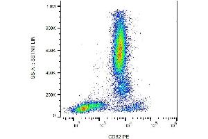 Surface staining of human peripheral blood with anti-human CD32 (3D3) PE. (Fc gamma RII (CD32) anticorps (PE))