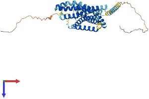 AlphaFold protein structure predicition of Mouse Recombinant Gpr132 Protein, UniprotID Q9Z282