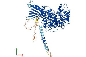 AlphaFold protein structure predicition of Mouse Recombinant Mtm1 Protein, UniprotID Q9Z2C5