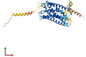 AlphaFold protein structure predicition of Human Recombinant CXCR5 Protein, UniprotID P32302