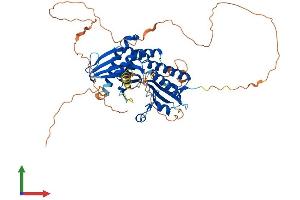 AlphaFold protein structure predicition of Mouse Recombinant Pip5k1b Protein, UniprotID P70181