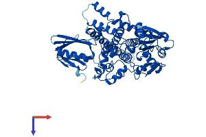 AlphaFold protein structure predicition of Mouse Recombinant Mtmr9 Protein, UniprotID Q9Z2D0