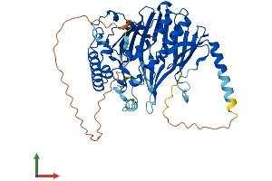 AlphaFold protein structure predicition of Mouse Recombinant Osbpl2 Protein, UniprotID Q8BX94