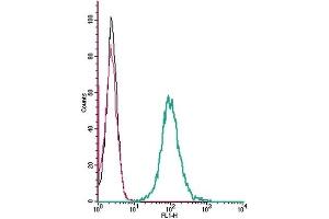 Cell surface detection of Angiotensin II receptor type-2 by indirect flow cytometry in live intact mouse J774 macrophage cells: (black line) Cells.