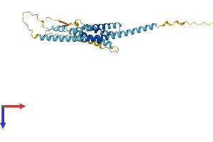 AlphaFold protein structure predicition of Mouse Recombinant Tmem176b Protein, UniprotID Q9R1Q6