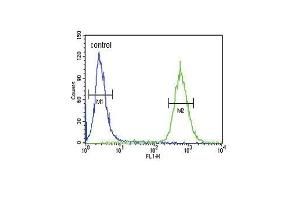 GDNF Antibody (N-term) (ABIN652624 and ABIN2842416) flow cytometric analysis of 293 cells (right histogram) compared to a negative control cell (left histogram). (GDNF anticorps  (N-Term))