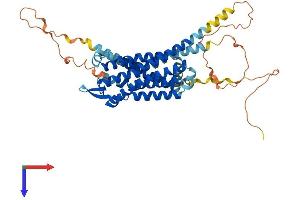 AlphaFold protein structure predicition of Human Recombinant CCKBR Protein, UniprotID P32239