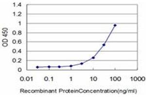 Detection limit for recombinant GST tagged HSPB8 is approximately 1ng/ml as a capture antibody. (HSPB8 anticorps  (AA 97-196))
