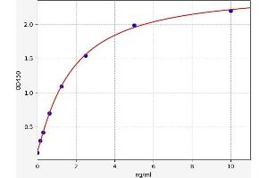 Typical standard curve (T-Bet Kit ELISA)